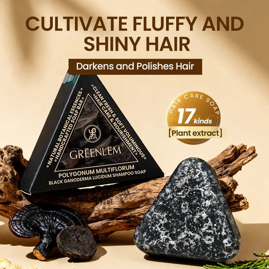Polygonum Multiflorum Triangular Shampoo Bar with Multiple Herbal