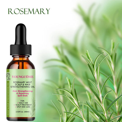 Hair Care Essential Oil Rosemary Mint Hair Strengthening Oil